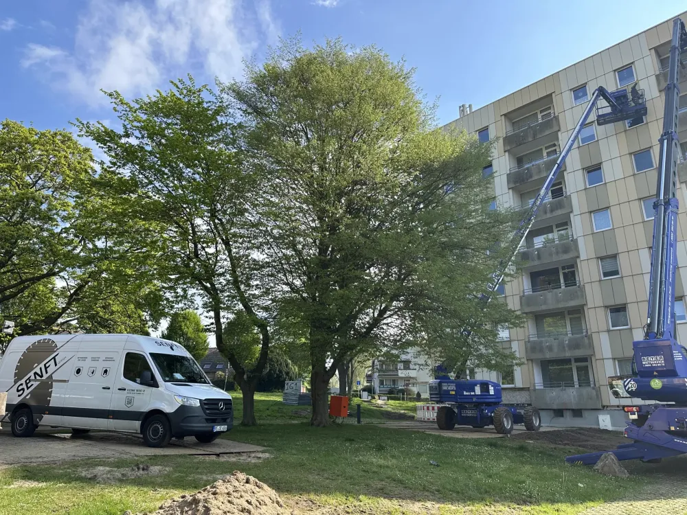 Demontage von 30 Balkonbrüstungen an einem Mehrfamilienhaus – Foto 4